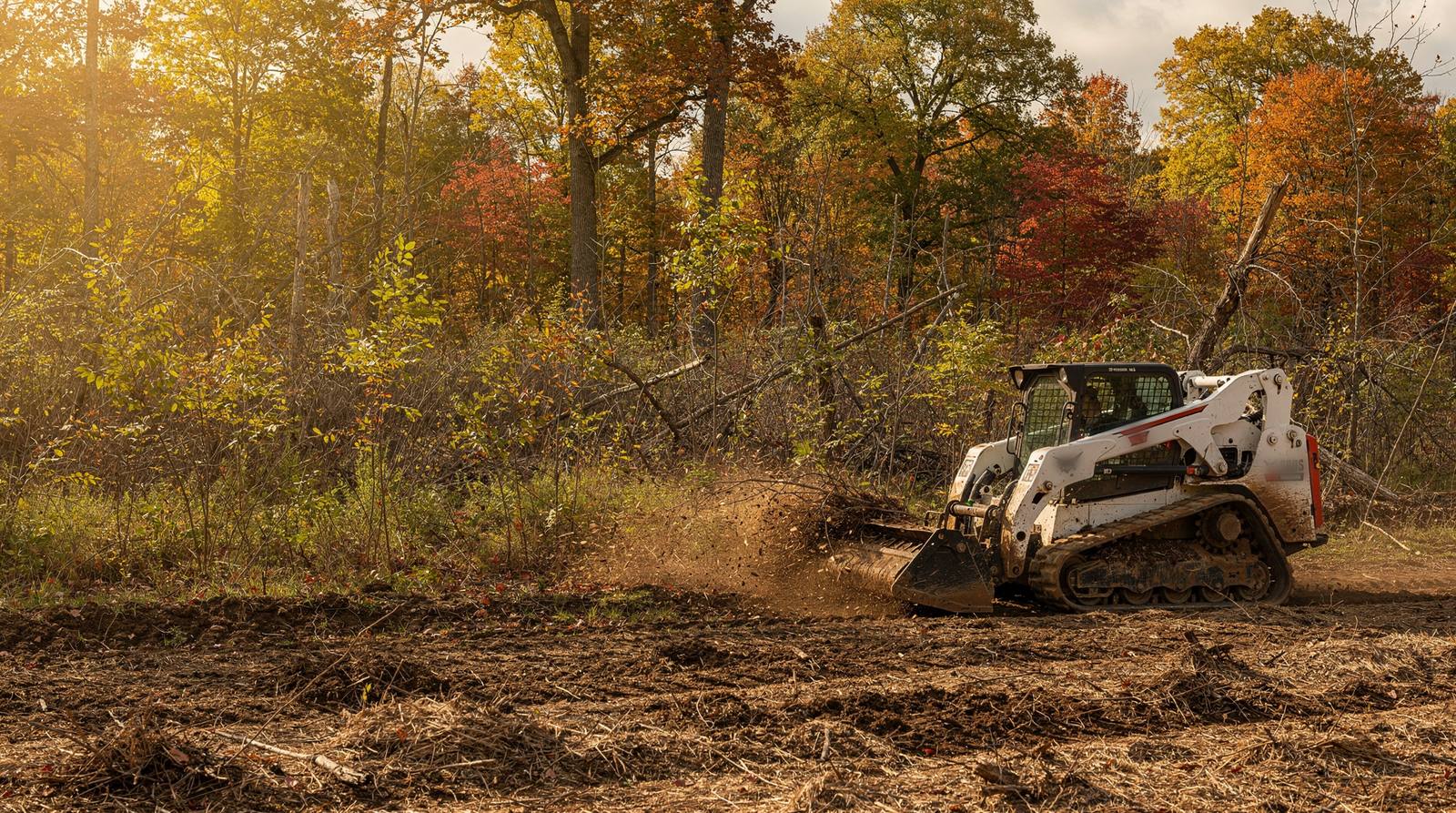 Compact track loader with a forestry mulching head clearing brush at the edge of a hardwood forest